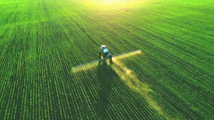 REGIONAL MT - AGRICULTURA